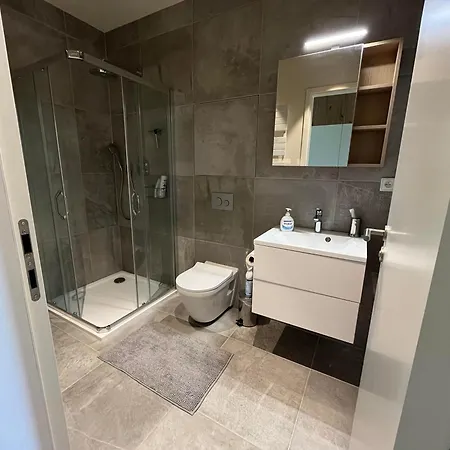 Moad Apartman V Srdci Sumavy Zelezna Ruda Exterior photo