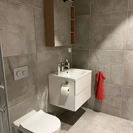 Moad Apartman V Srdci Sumavy Zelezna Ruda Exterior photo